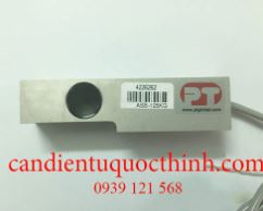 Loadcell PT ASB